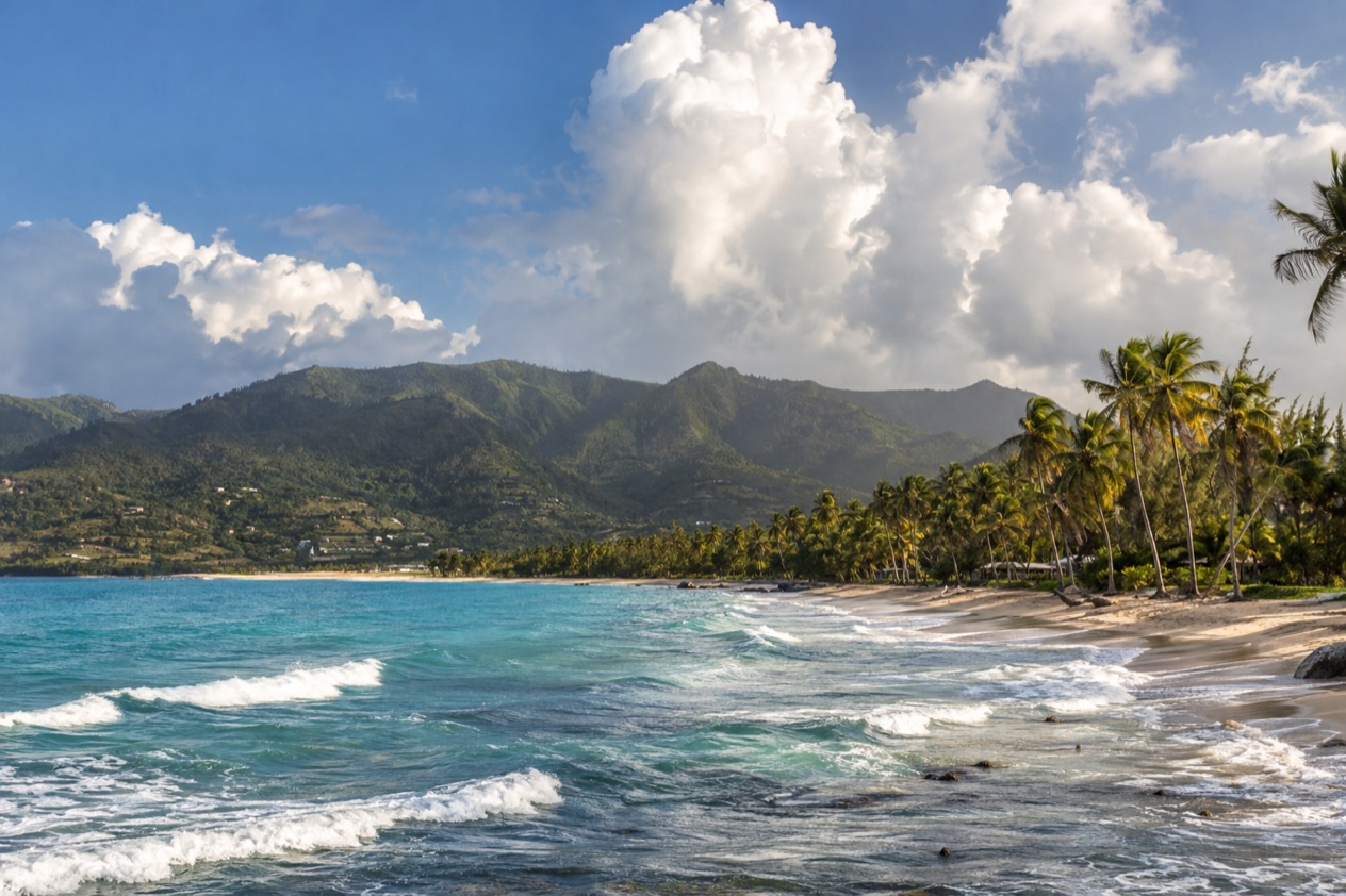 A palm-lined beach on the Puerto Rican coast in the hot, bright months