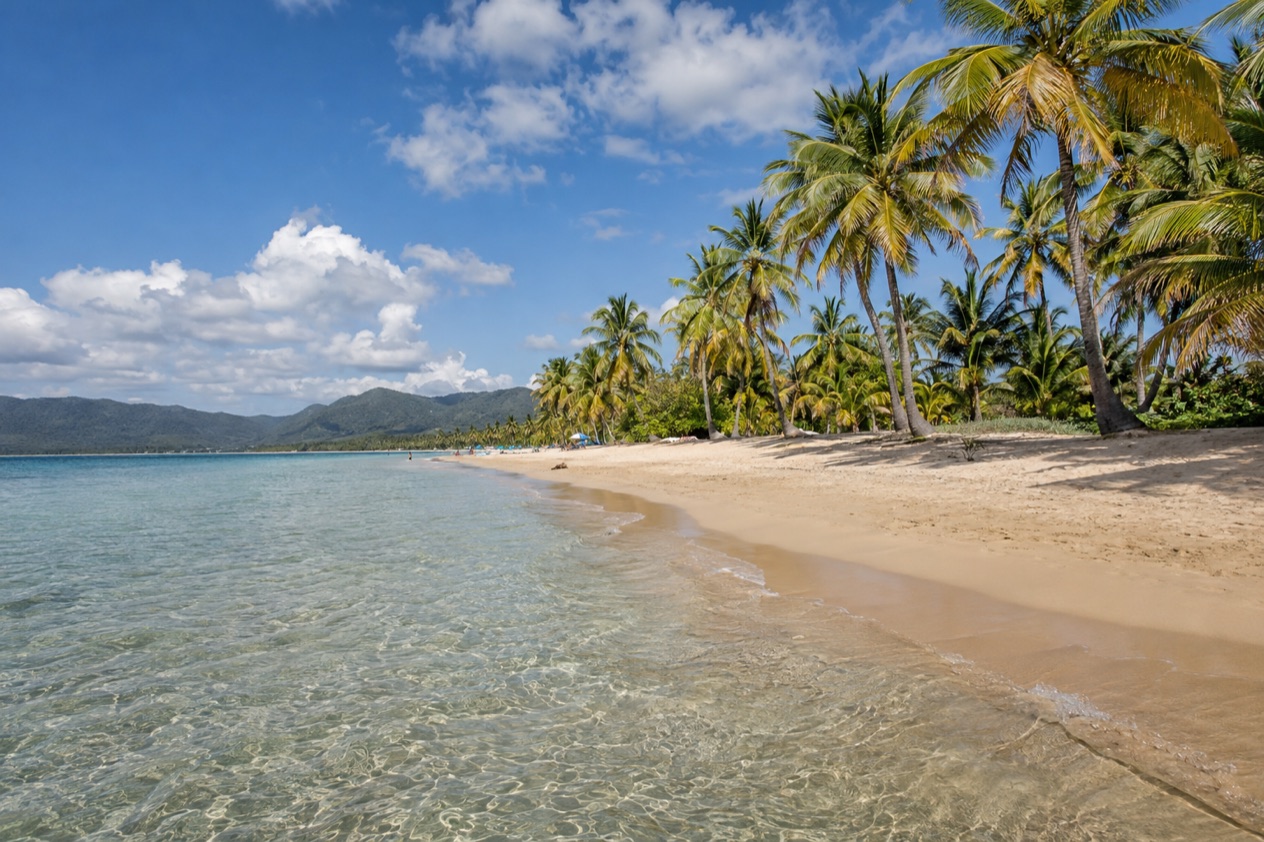Luquillo Beach and its palms