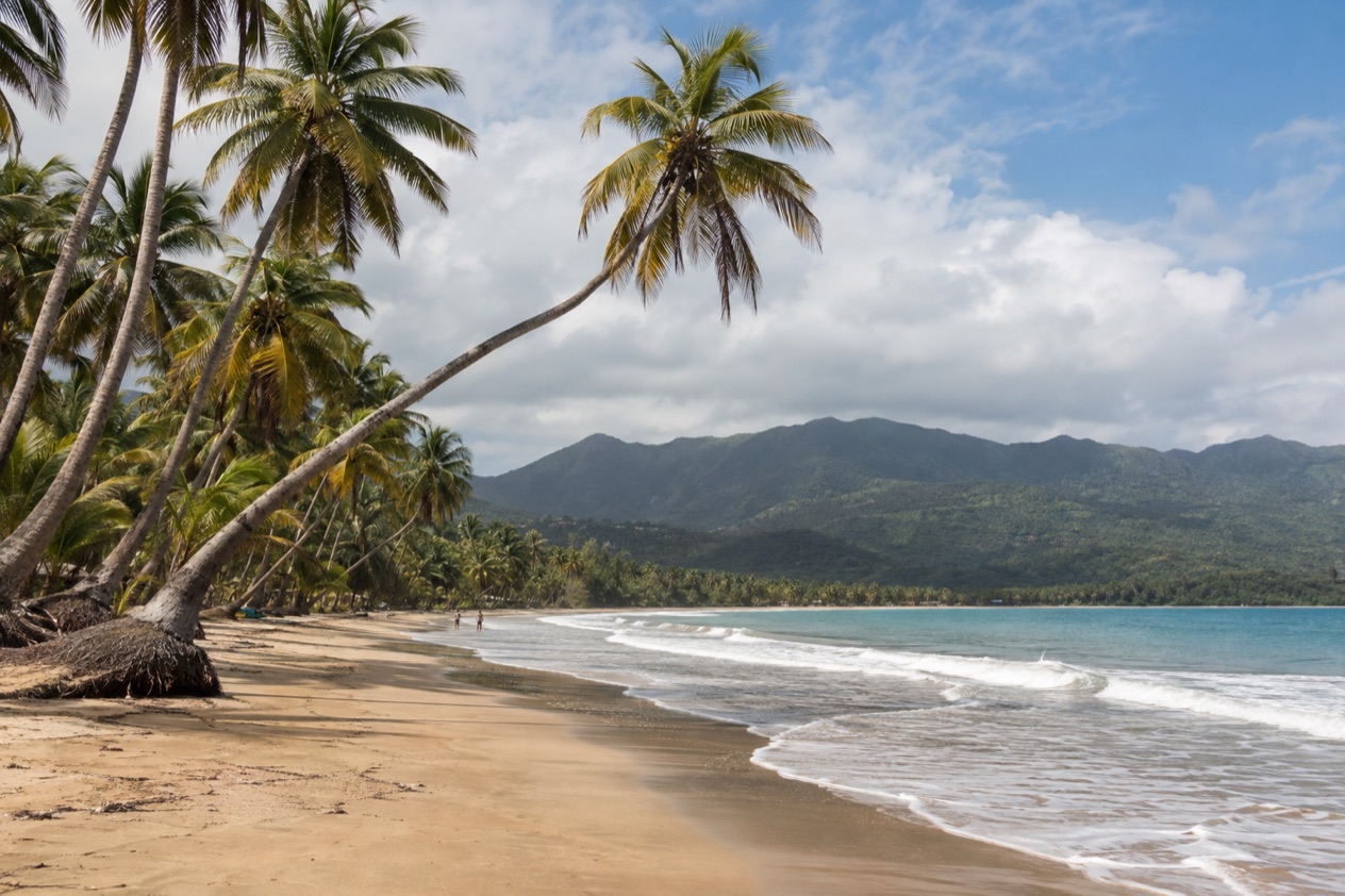 A palm-fringed beach at Luquillo