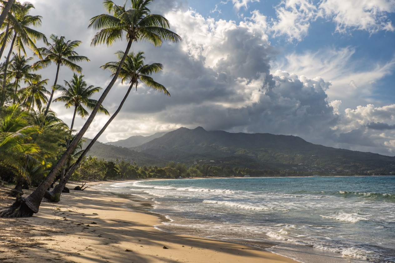 A palm-fringed beach at Luquillo in the wetter months
