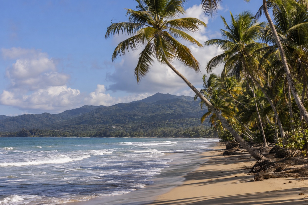 A palm-fringed beach at Luquillo