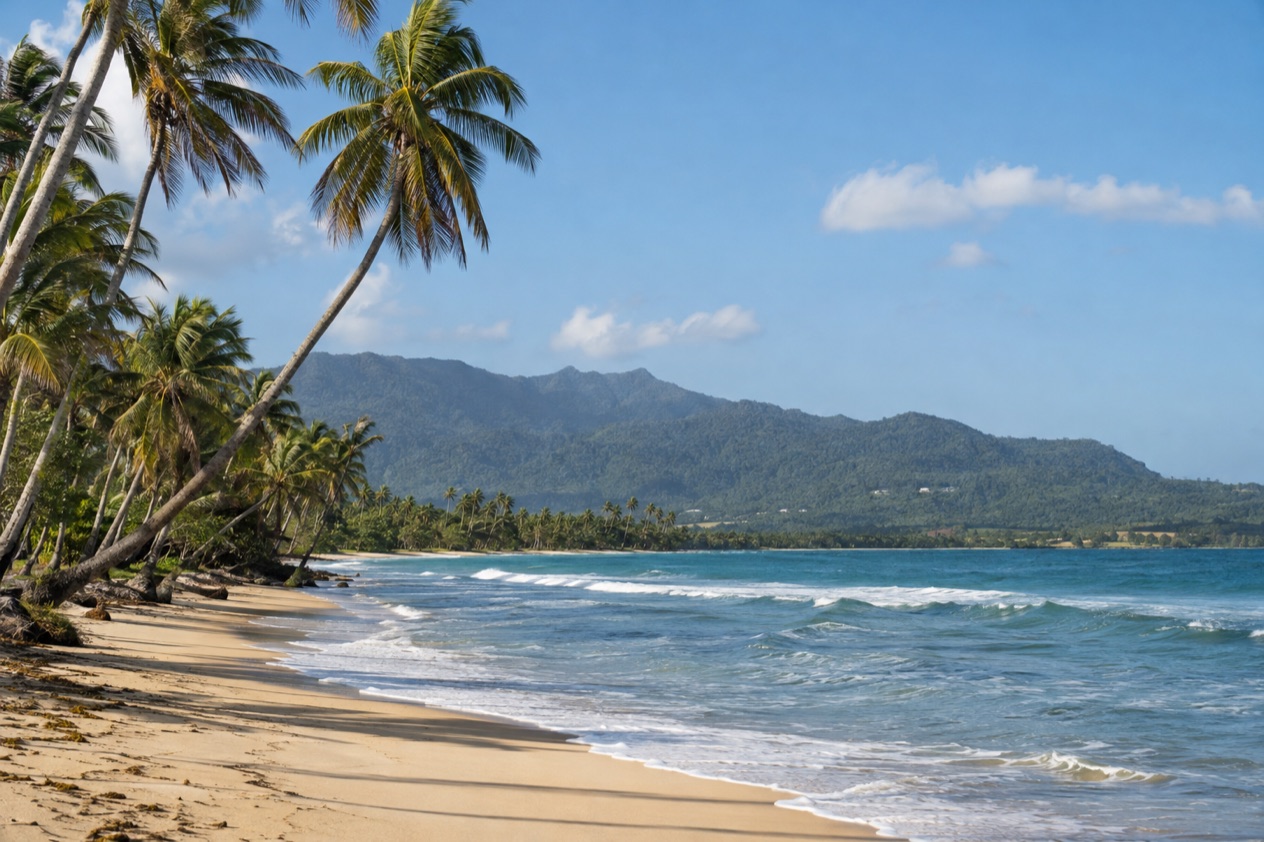 A palm-fringed beach at Luquillo in the drier season