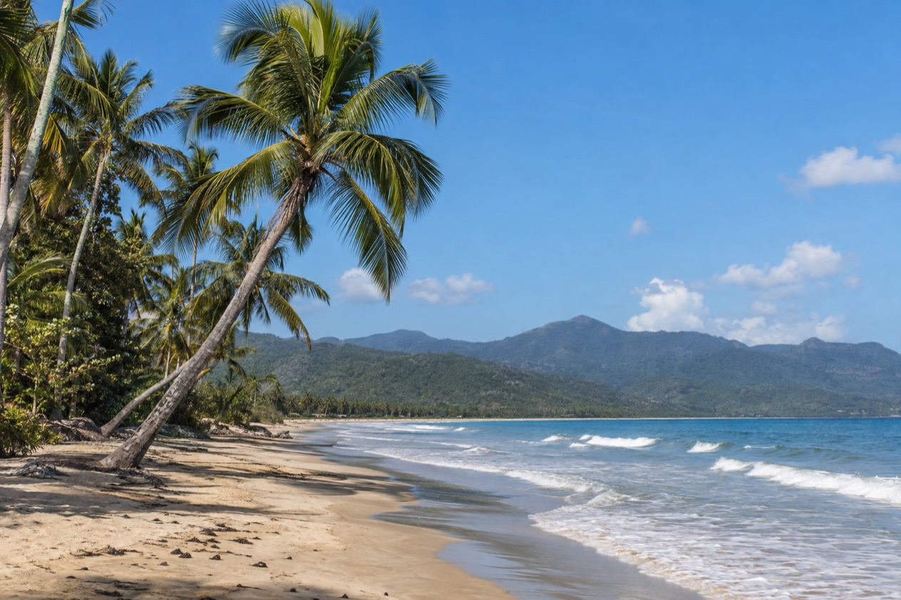 A palm-fringed beach at Luquillo in the drier season