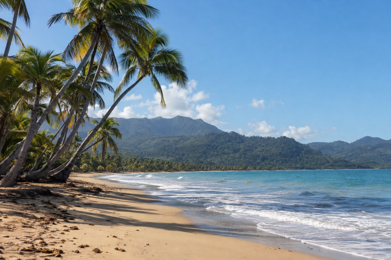 A palm-fringed beach at Luquillo in the drier season