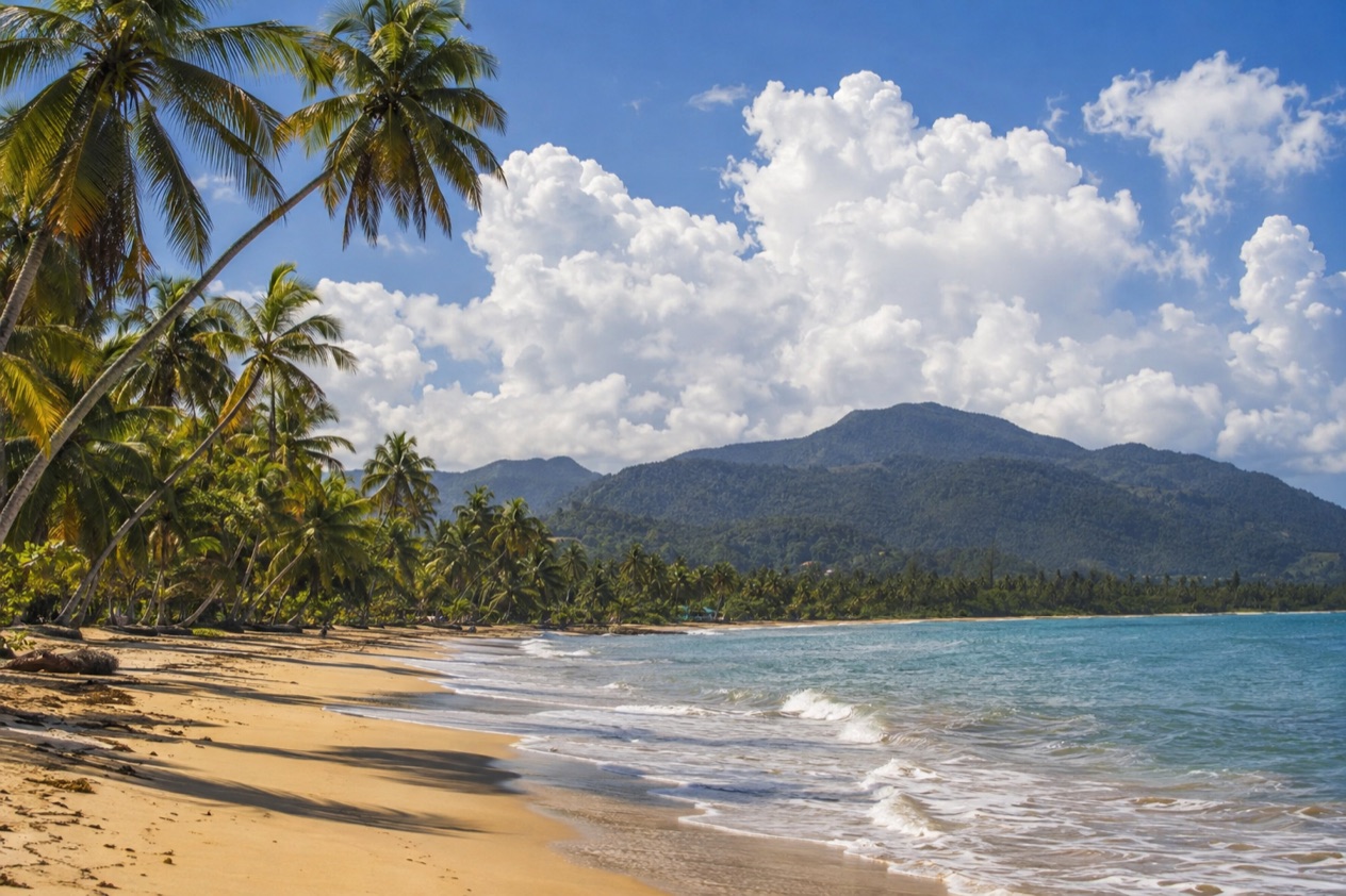 A palm-fringed beach at Luquillo in the hot, bright months
