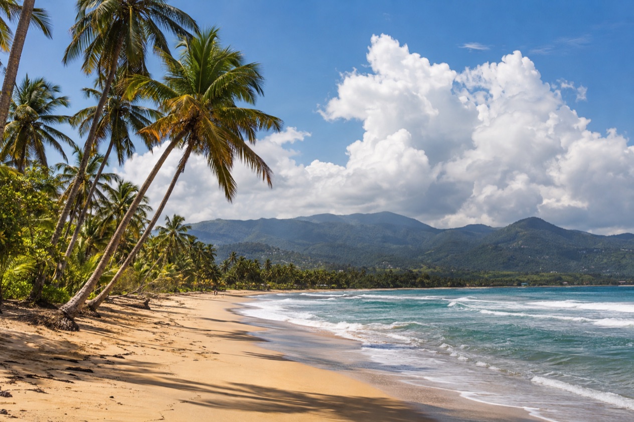 A palm-fringed beach at Luquillo in the hot, bright months