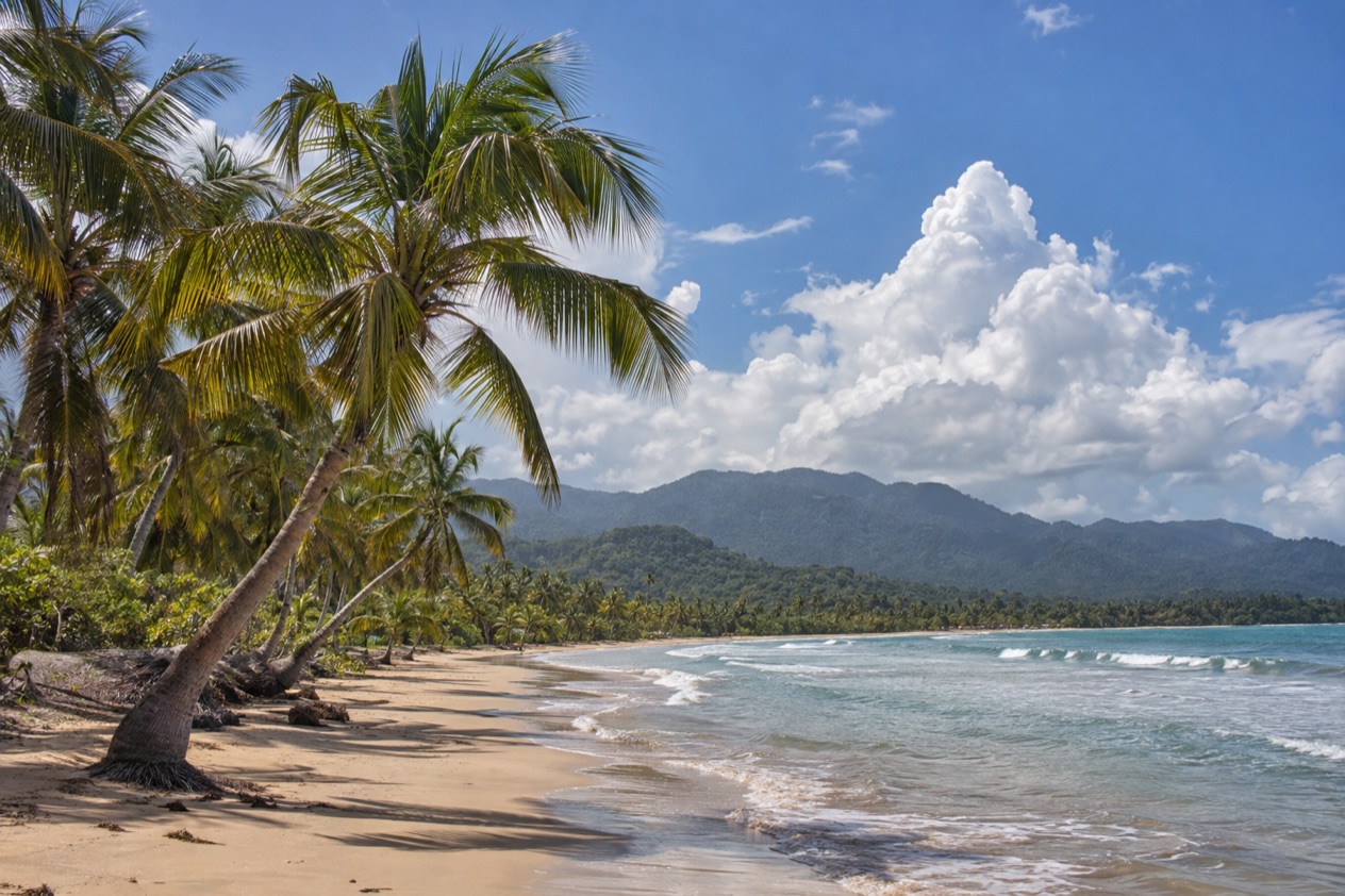 A palm-fringed beach at Luquillo in the hot, bright months