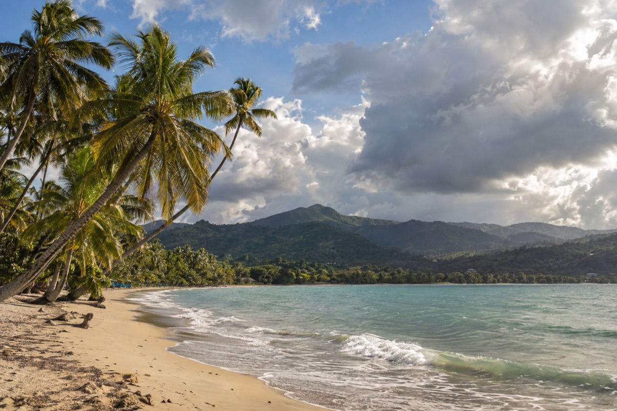A palm-fringed beach at Luquillo in the wetter months