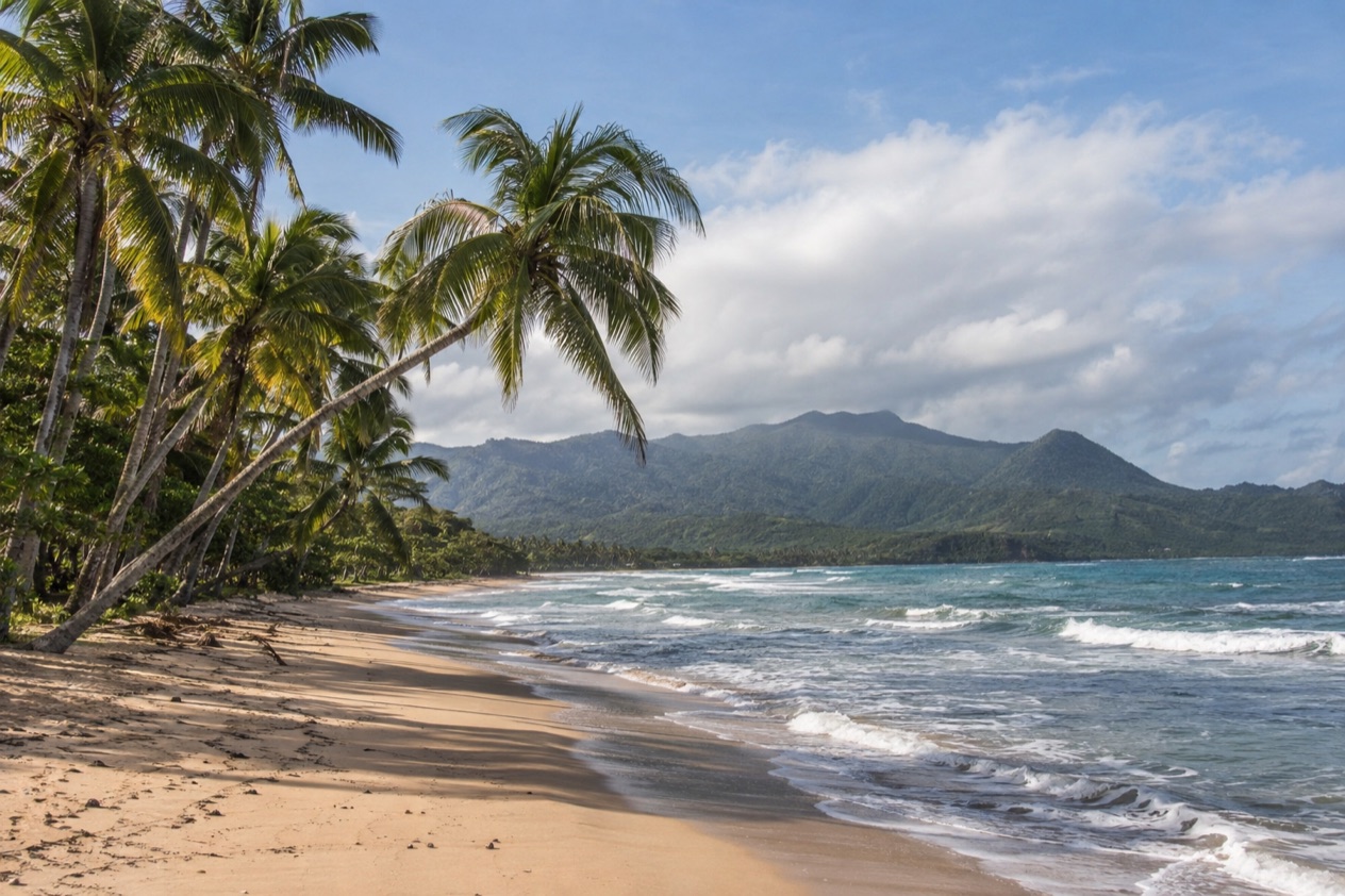 A palm-fringed beach at Luquillo