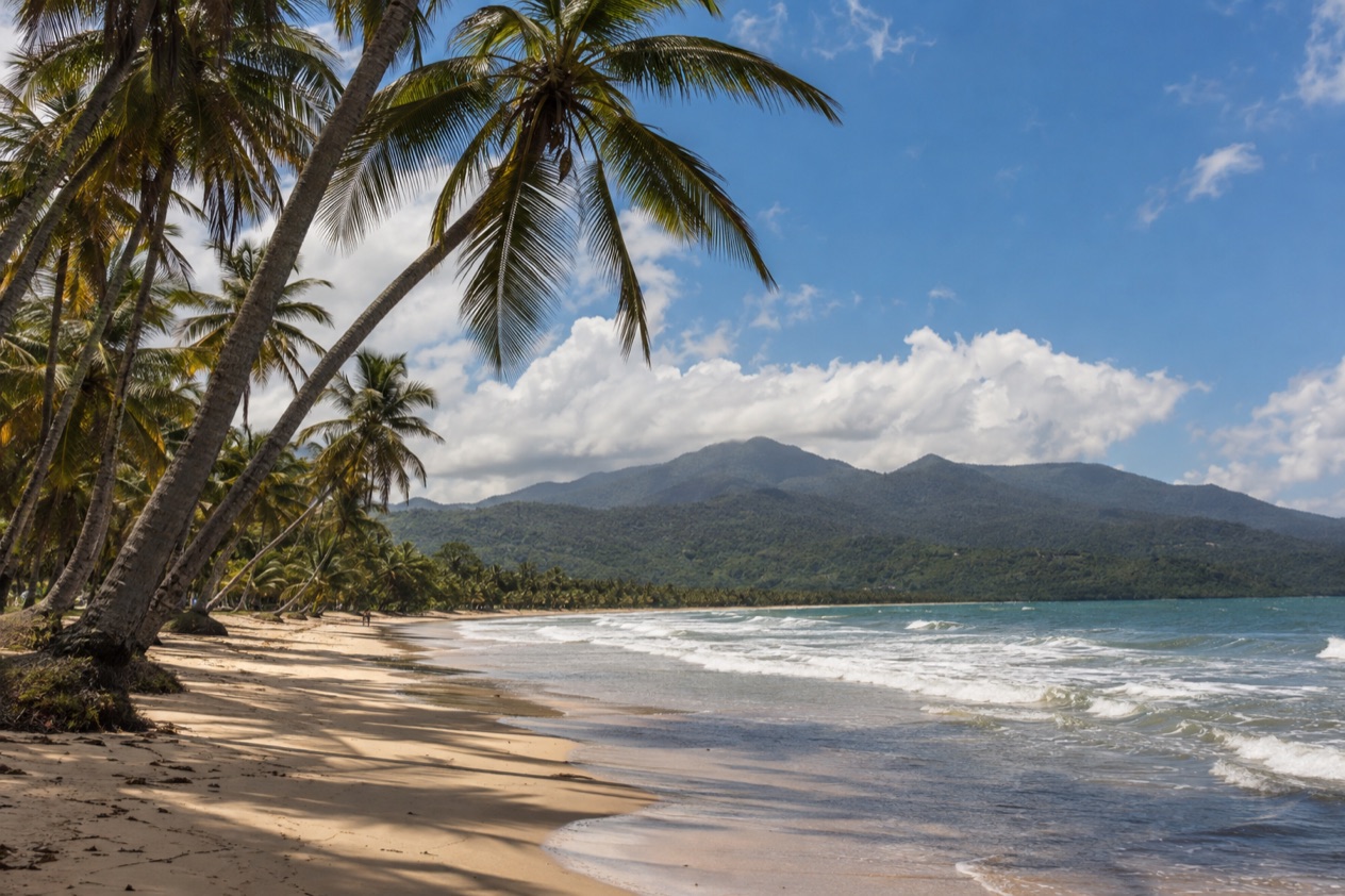 A palm-fringed beach at Luquillo