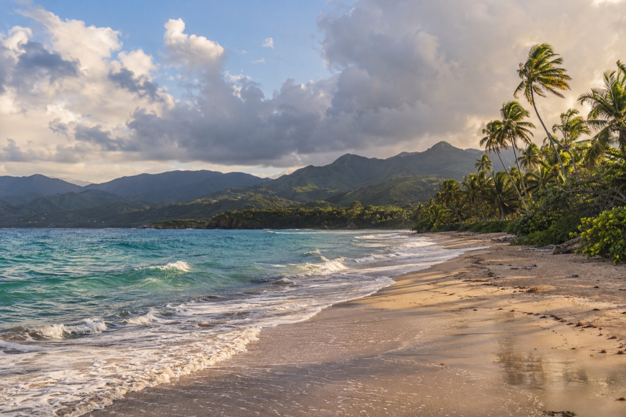 A palm-lined beach on the Puerto Rican coast in the wetter months
