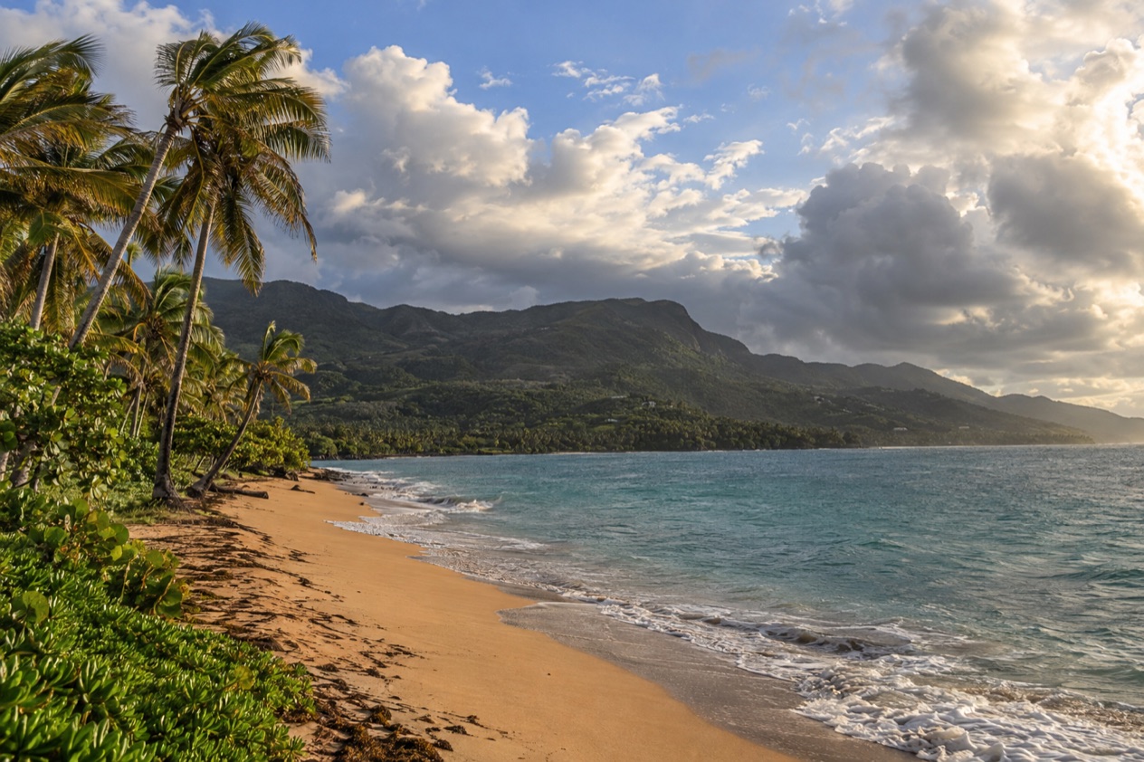 A palm-lined beach on the Puerto Rican coast in the wetter months