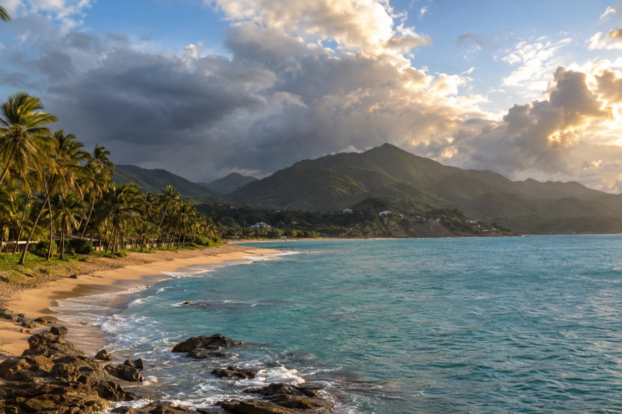A palm-lined beach on the Puerto Rican coast in the wetter months