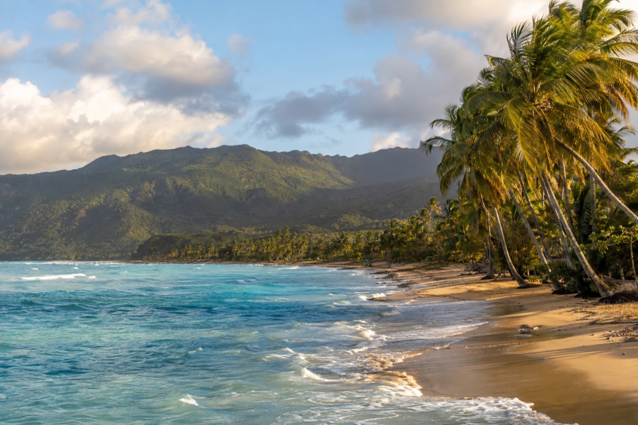A palm-lined beach on the Puerto Rican coast